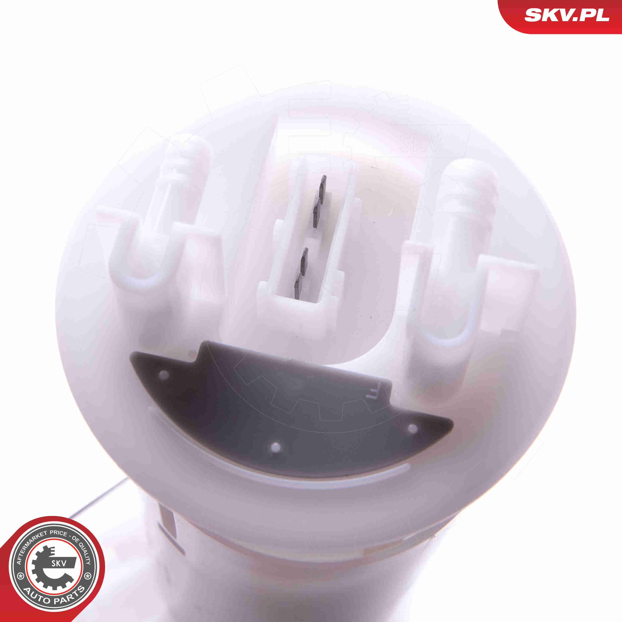 Fuel Feed Unit - 02SKV806 ESEN SKV