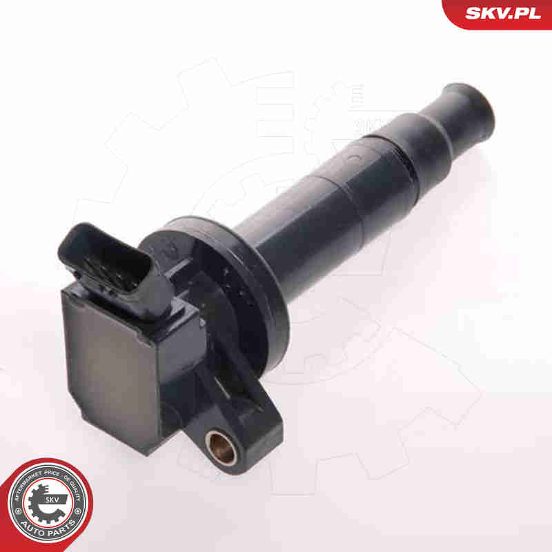 ritė, uždegimas - 03SKV100 ESEN SKV