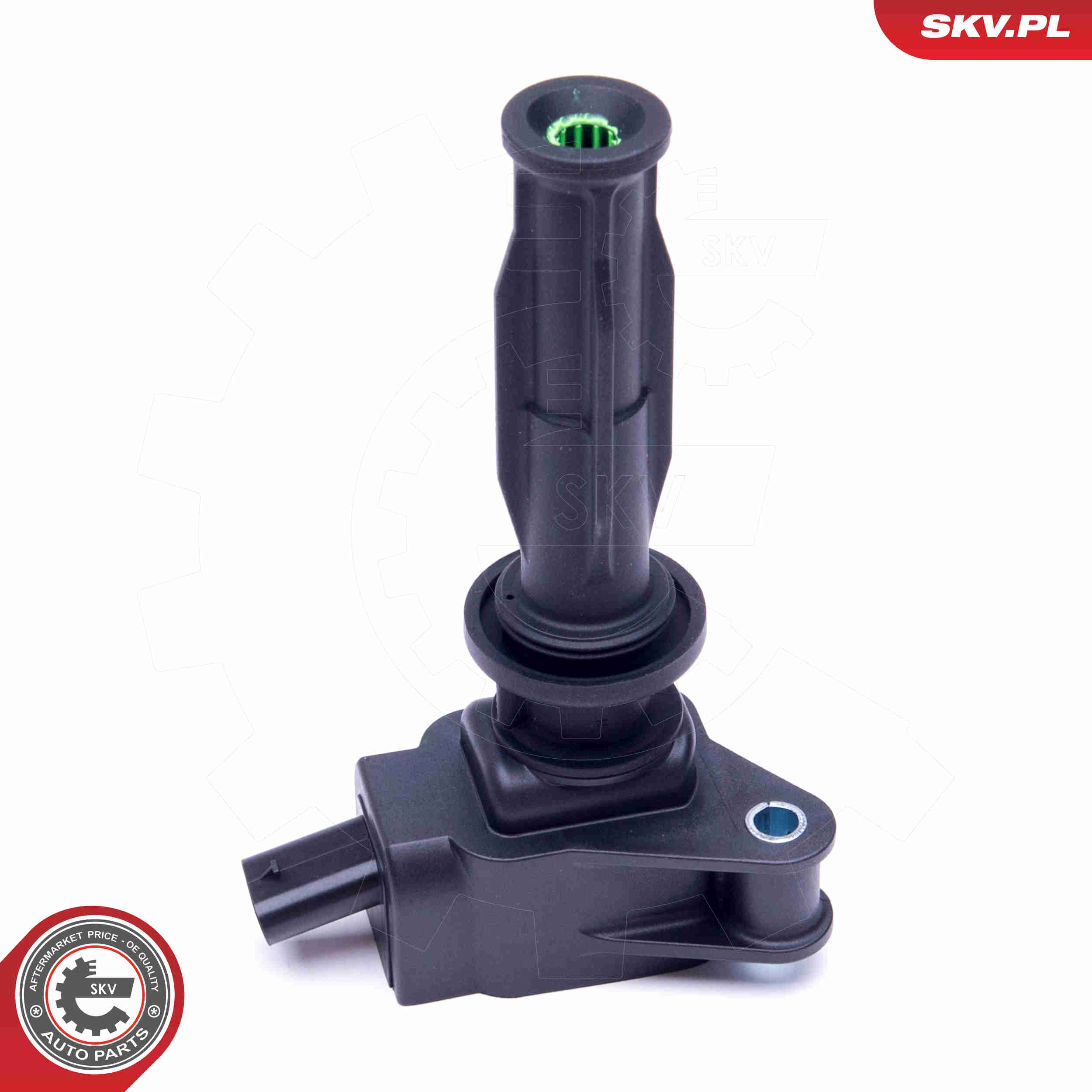 ritė, uždegimas - 03SKV303 ESEN SKV