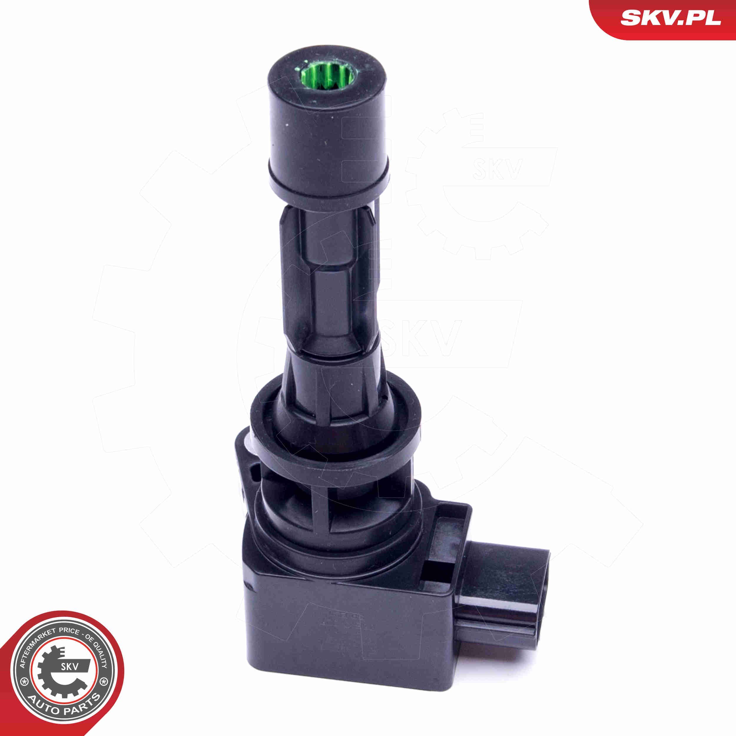 ritė, uždegimas - 03SKV327 ESEN SKV