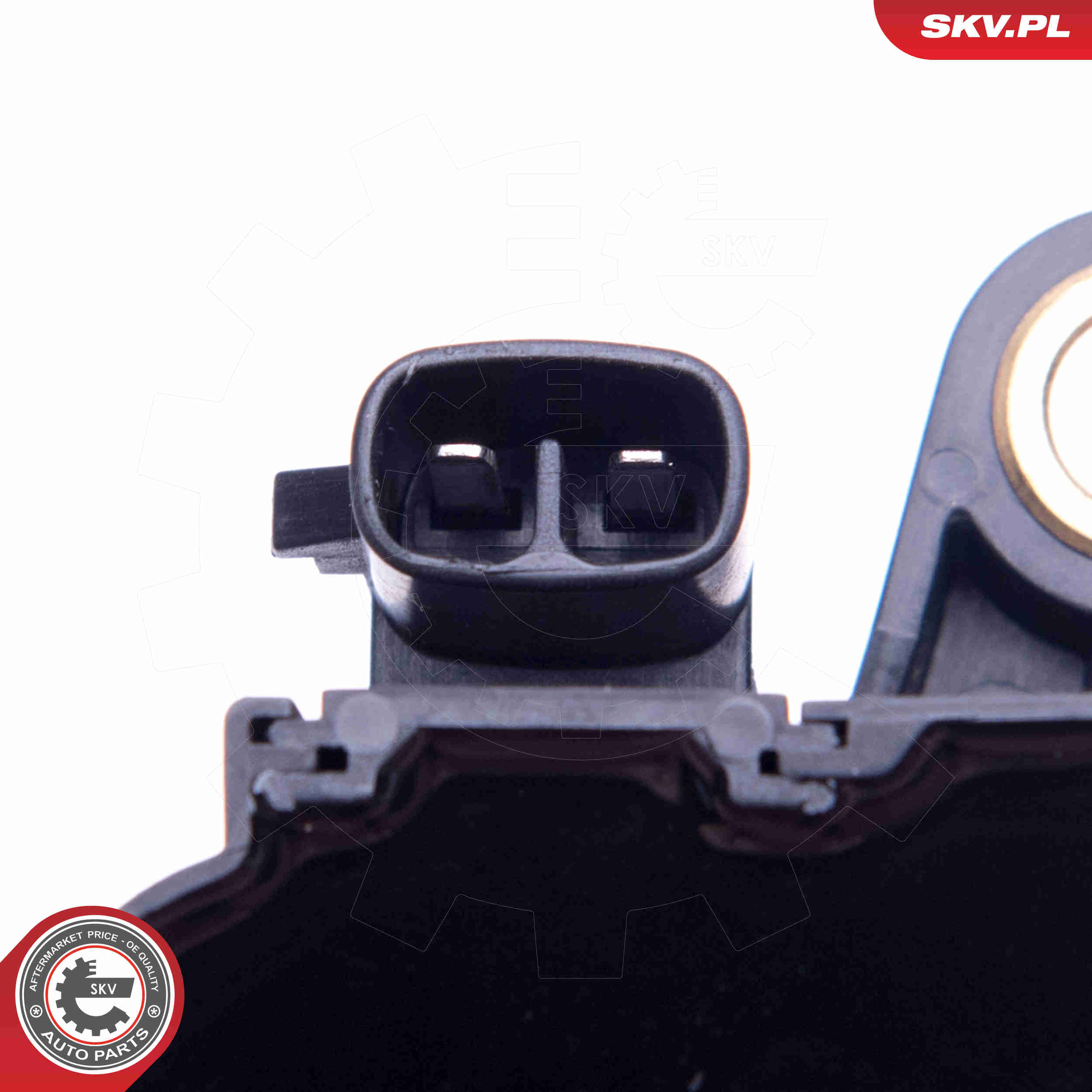 Ignition Coil - 03SKV338 ESEN SKV