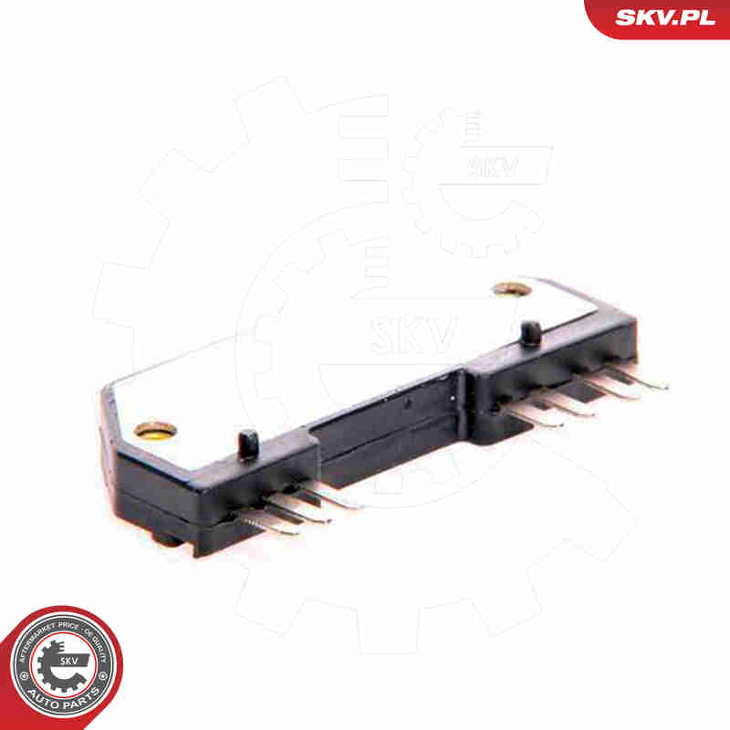 Ignition Coil - 03SKV907 ESEN SKV