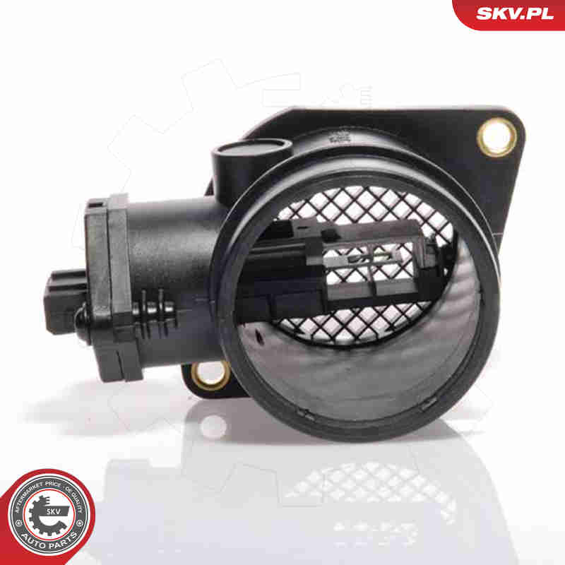 Debimetro - 07SKV003 ESEN SKV