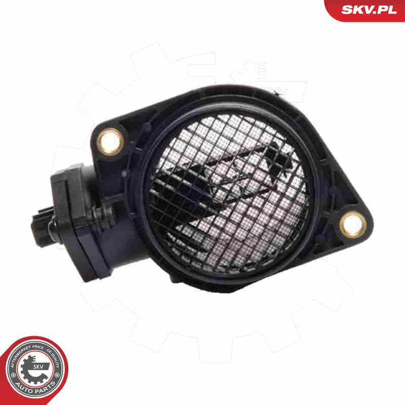 Air Mass Sensor - 07SKV011 ESEN SKV