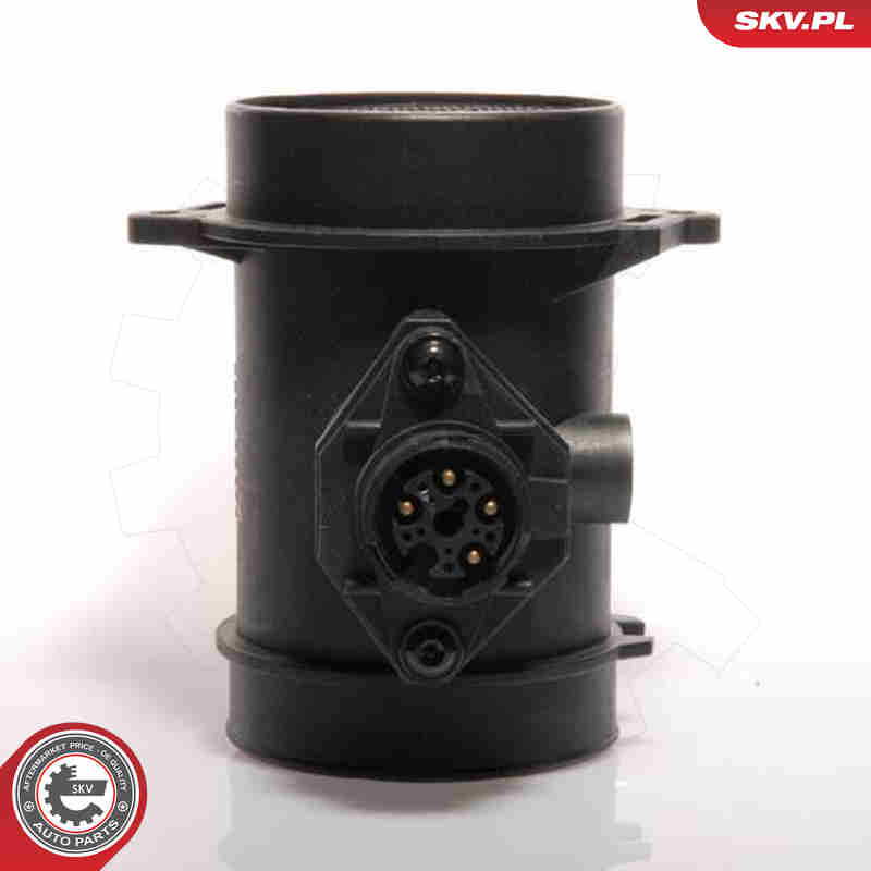 Debimetro - 07SKV019 ESEN SKV