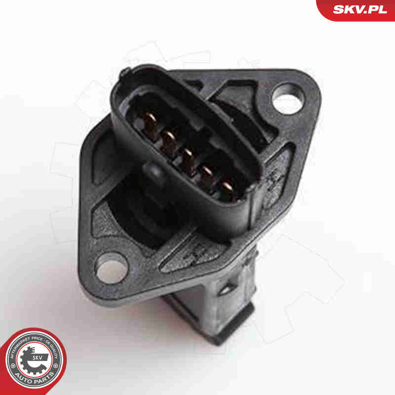Air Mass Sensor - 07SKV039 ESEN SKV