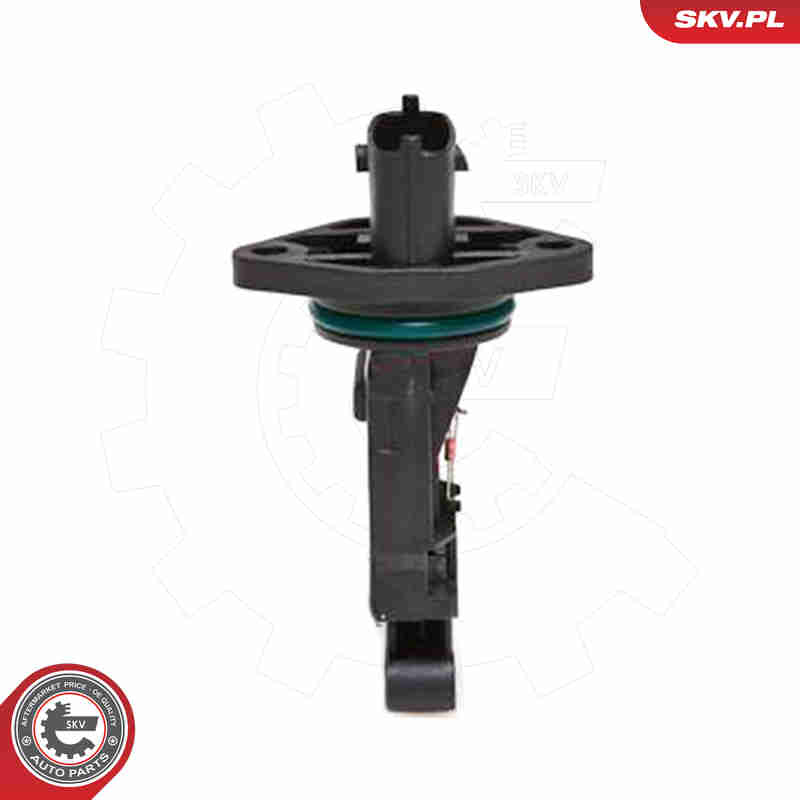 Air Mass Sensor - 07SKV039 ESEN SKV