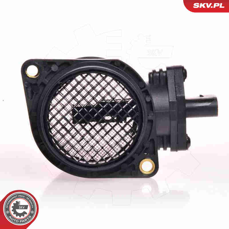 Air Mass Sensor - 07SKV049 ESEN SKV