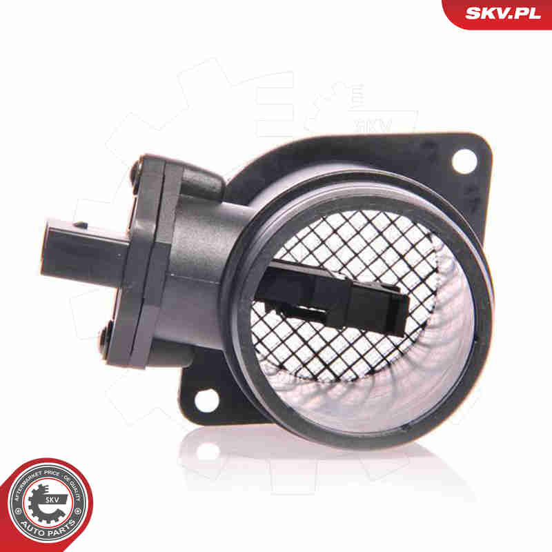 Air Mass Sensor - 07SKV076 ESEN SKV