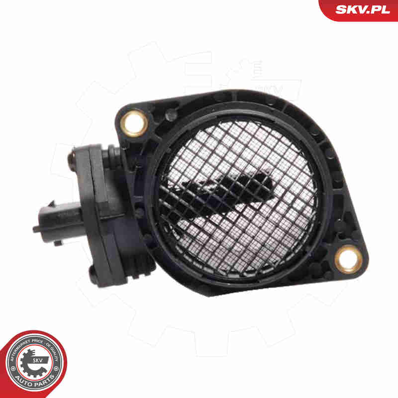 Air Mass Sensor - 07SKV077 ESEN SKV