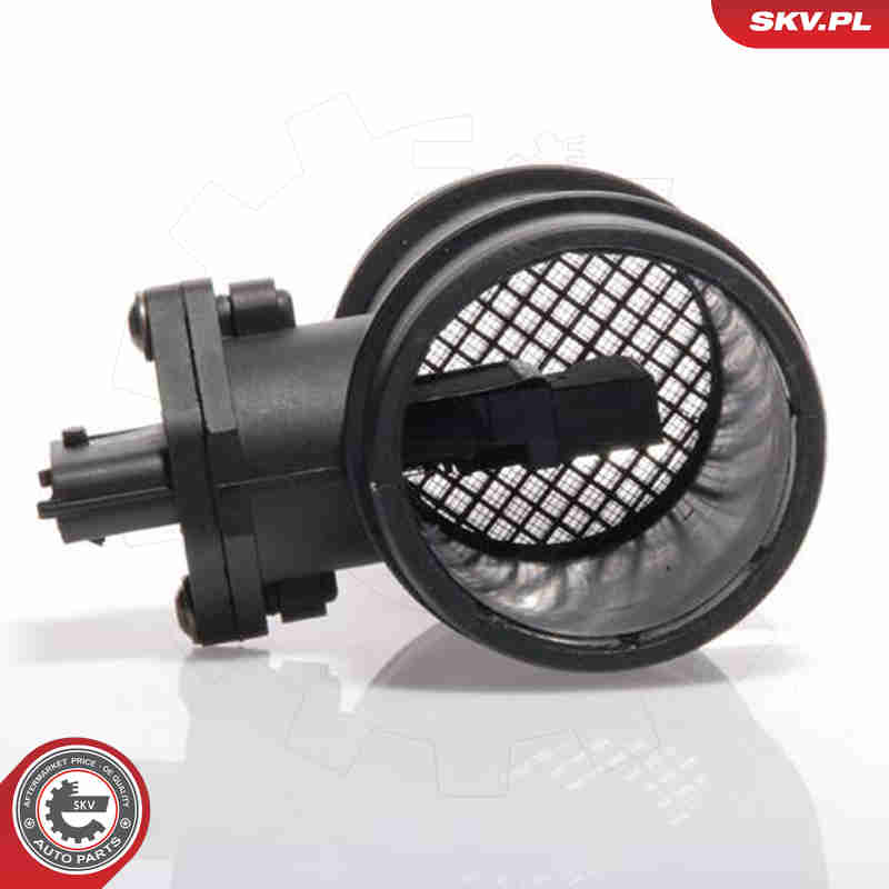 Air Mass Sensor - 07SKV078 ESEN SKV