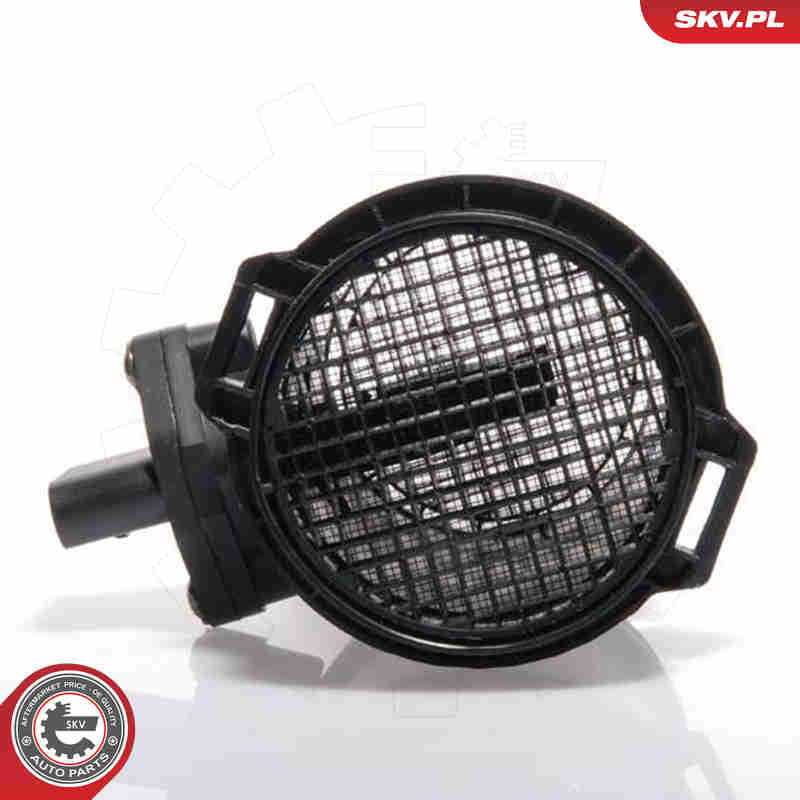 Air Mass Sensor - 07SKV081 ESEN SKV