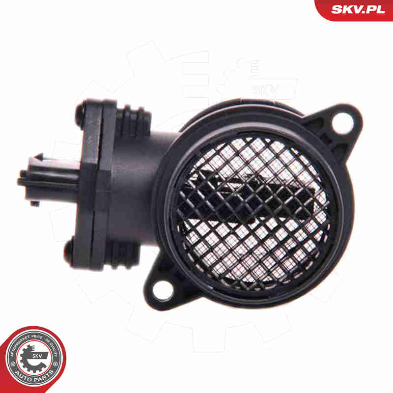Air Mass Sensor - 07SKV094 ESEN SKV