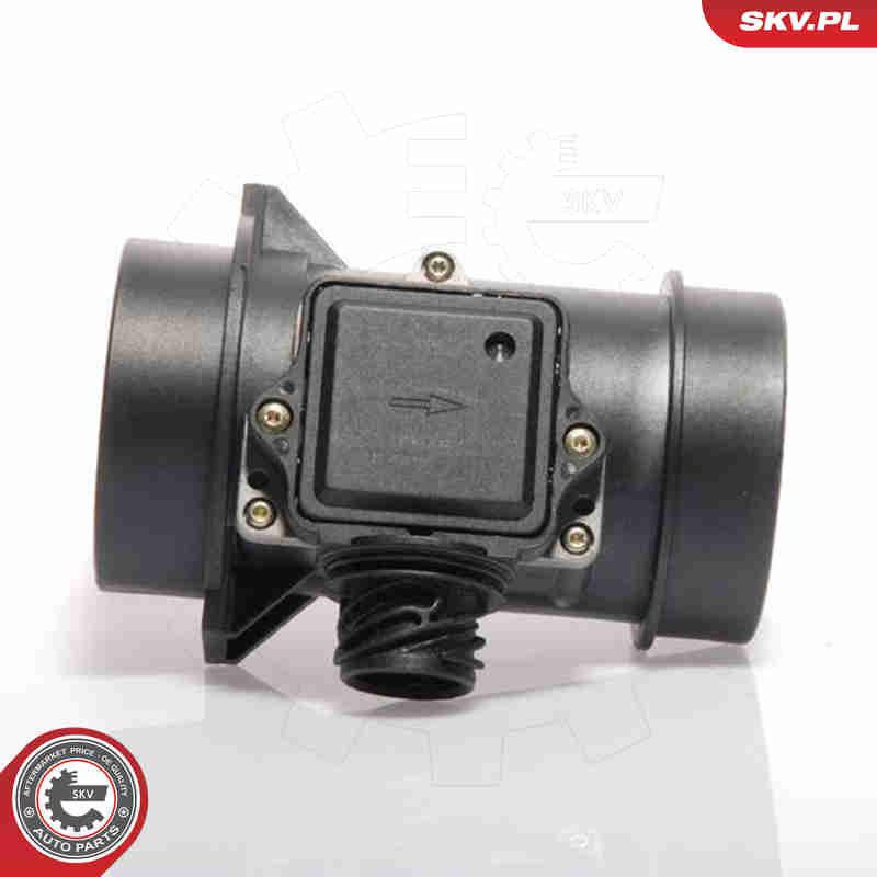 Air Mass Sensor - 07SKV113 ESEN SKV