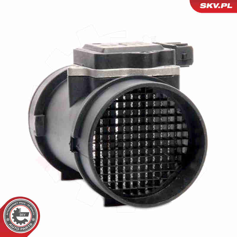Air Mass Sensor - 07SKV114 ESEN SKV