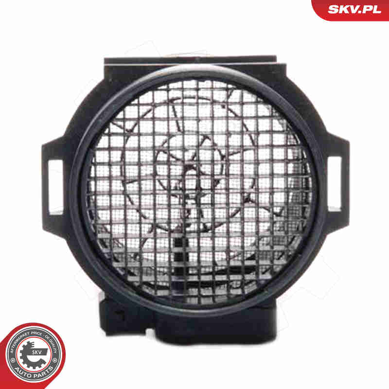 Air Mass Sensor - 07SKV116 ESEN SKV