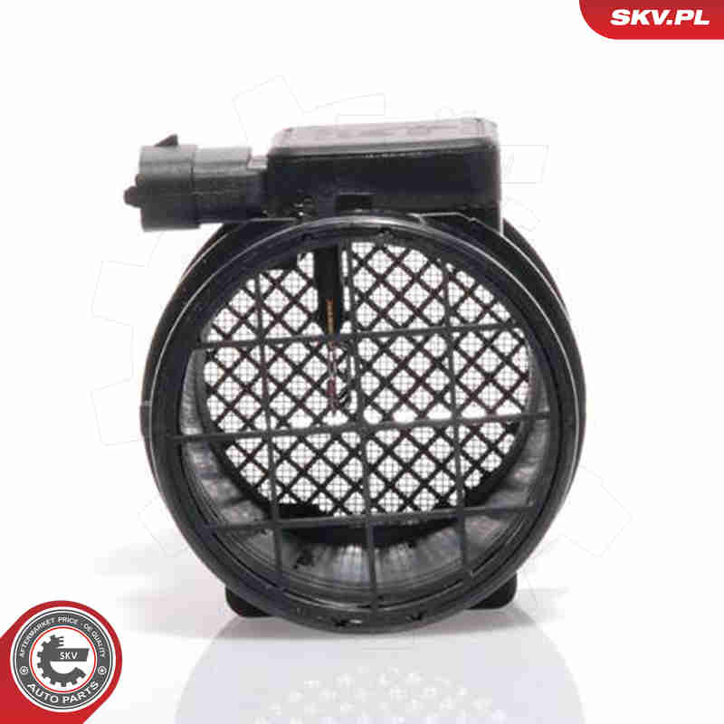 Air Mass Sensor - 07SKV119 ESEN SKV