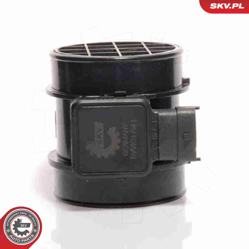 Air Mass Sensor - 07SKV119 ESEN SKV