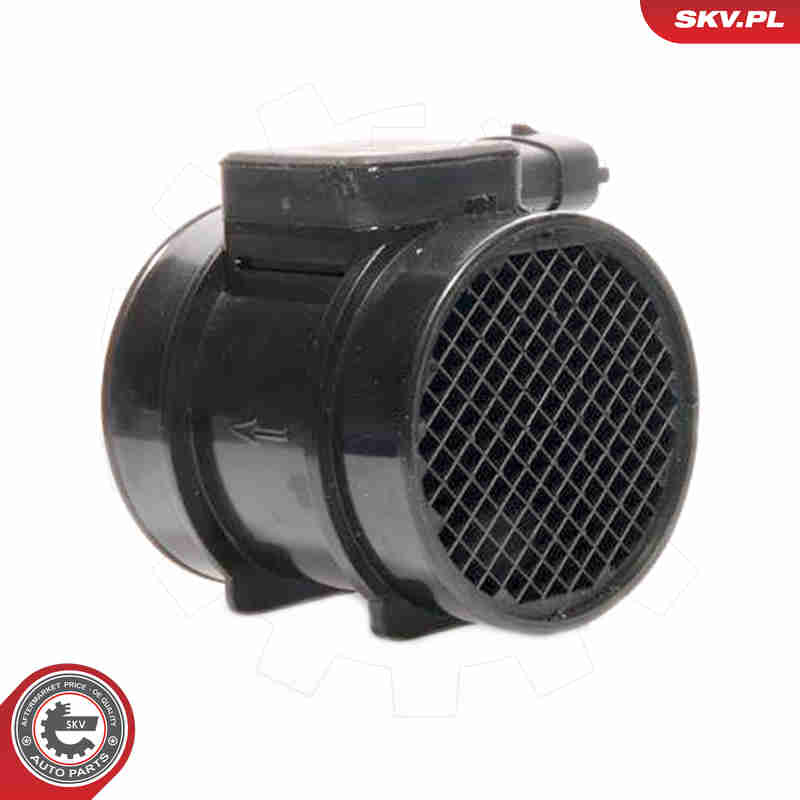 Air Mass Sensor - 07SKV119 ESEN SKV