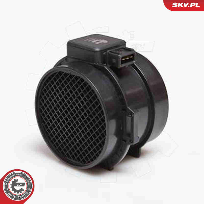 Debimetro - 07SKV123 ESEN SKV