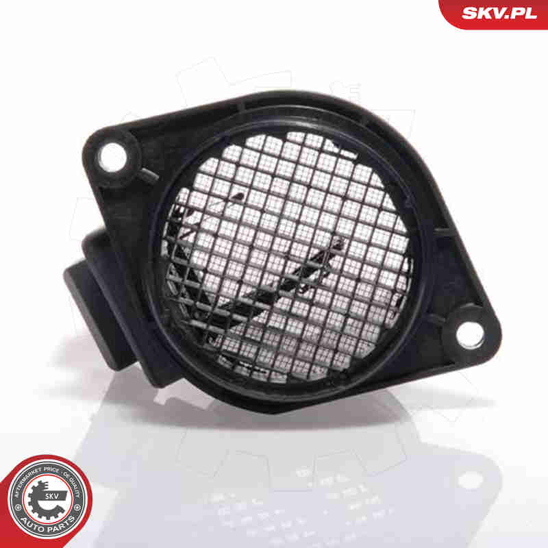 Air Mass Sensor - 07SKV125 ESEN SKV