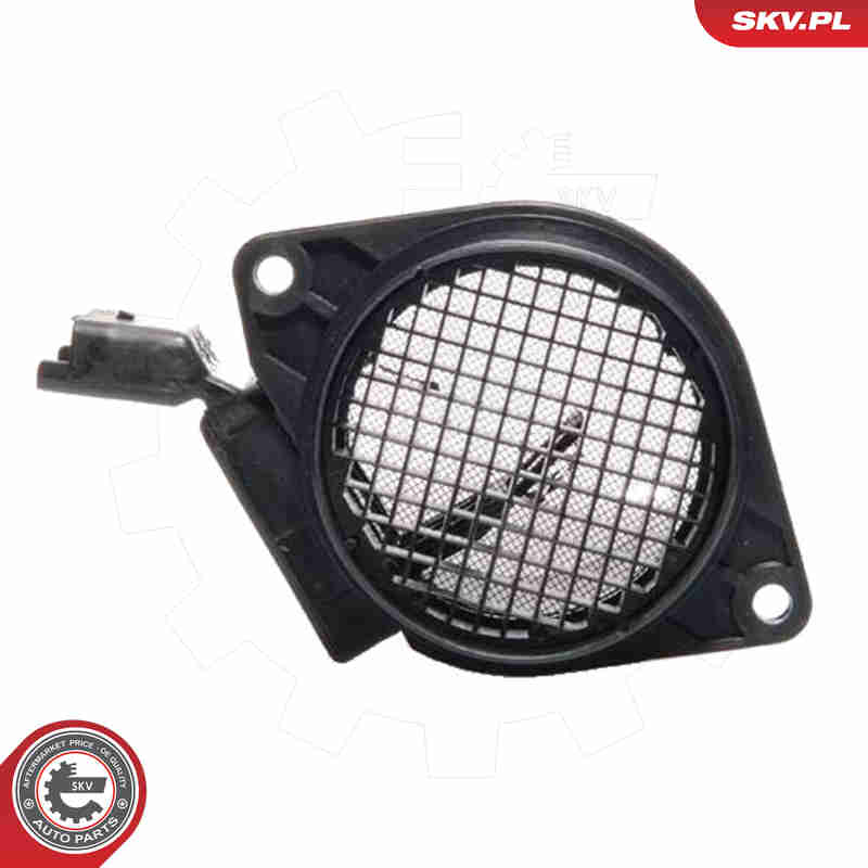 Air Mass Sensor - 07SKV126 ESEN SKV