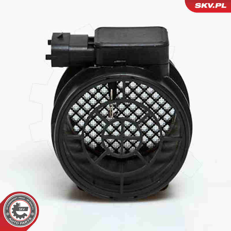 Air Mass Sensor - 07SKV131 ESEN SKV
