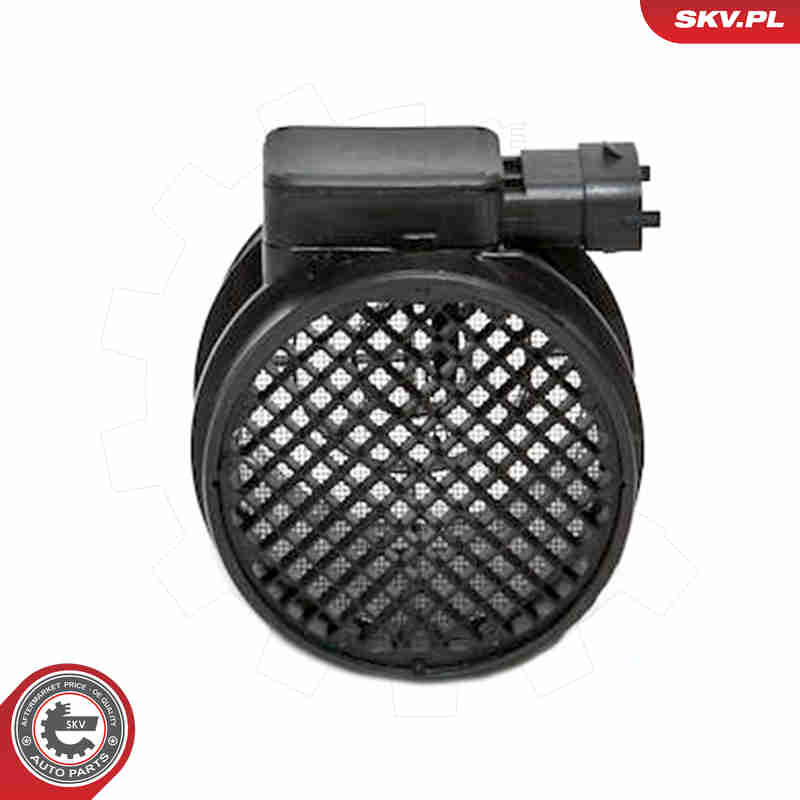 Air Mass Sensor - 07SKV131 ESEN SKV