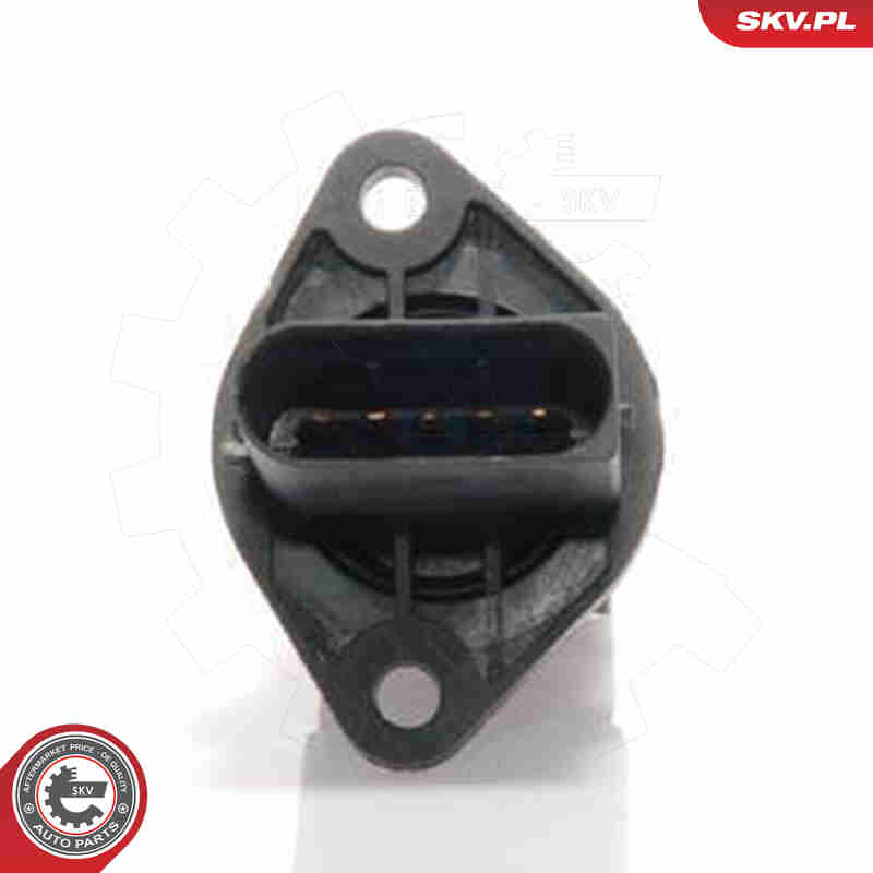 Air Mass Sensor - 07SKV139 ESEN SKV