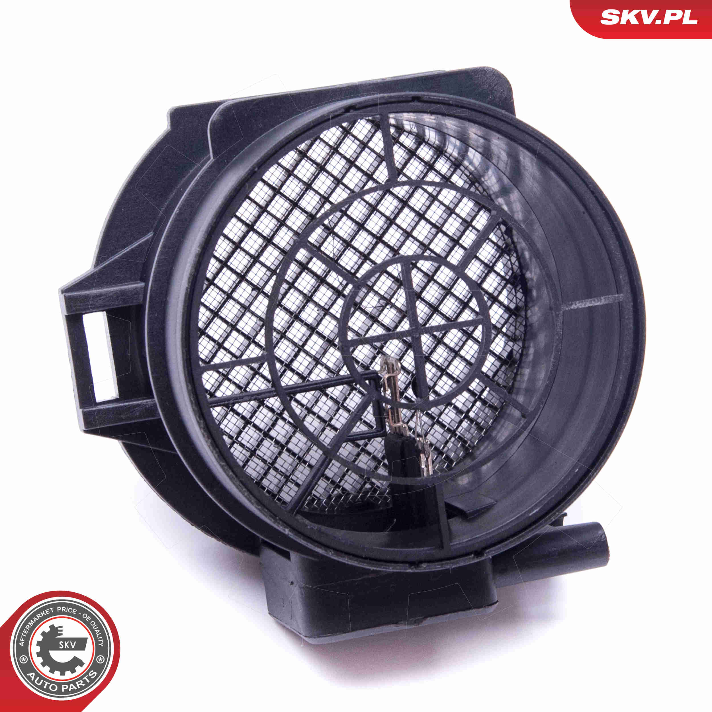 Air Mass Sensor - 07SKV169 ESEN SKV