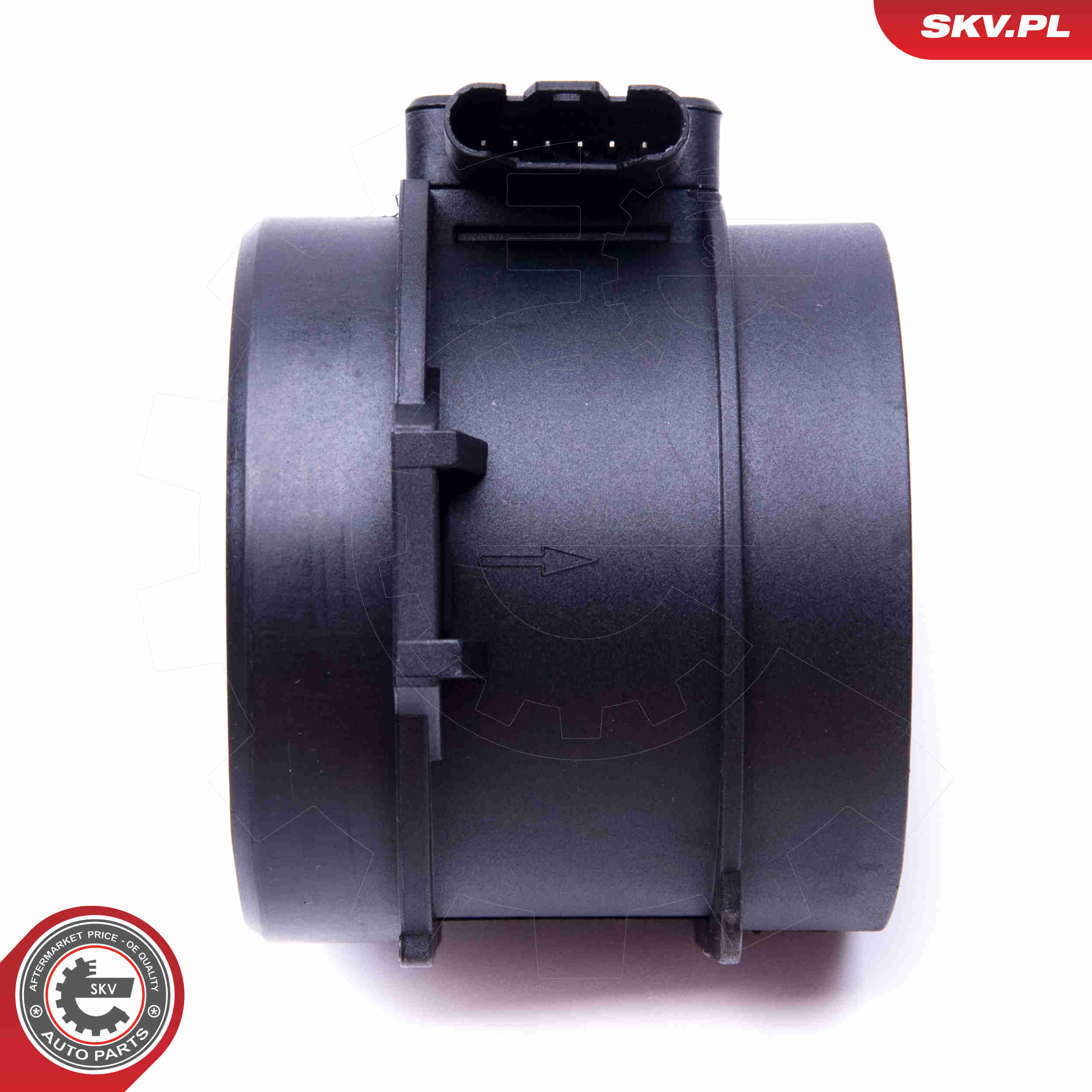 Air Mass Sensor - 07SKV169 ESEN SKV