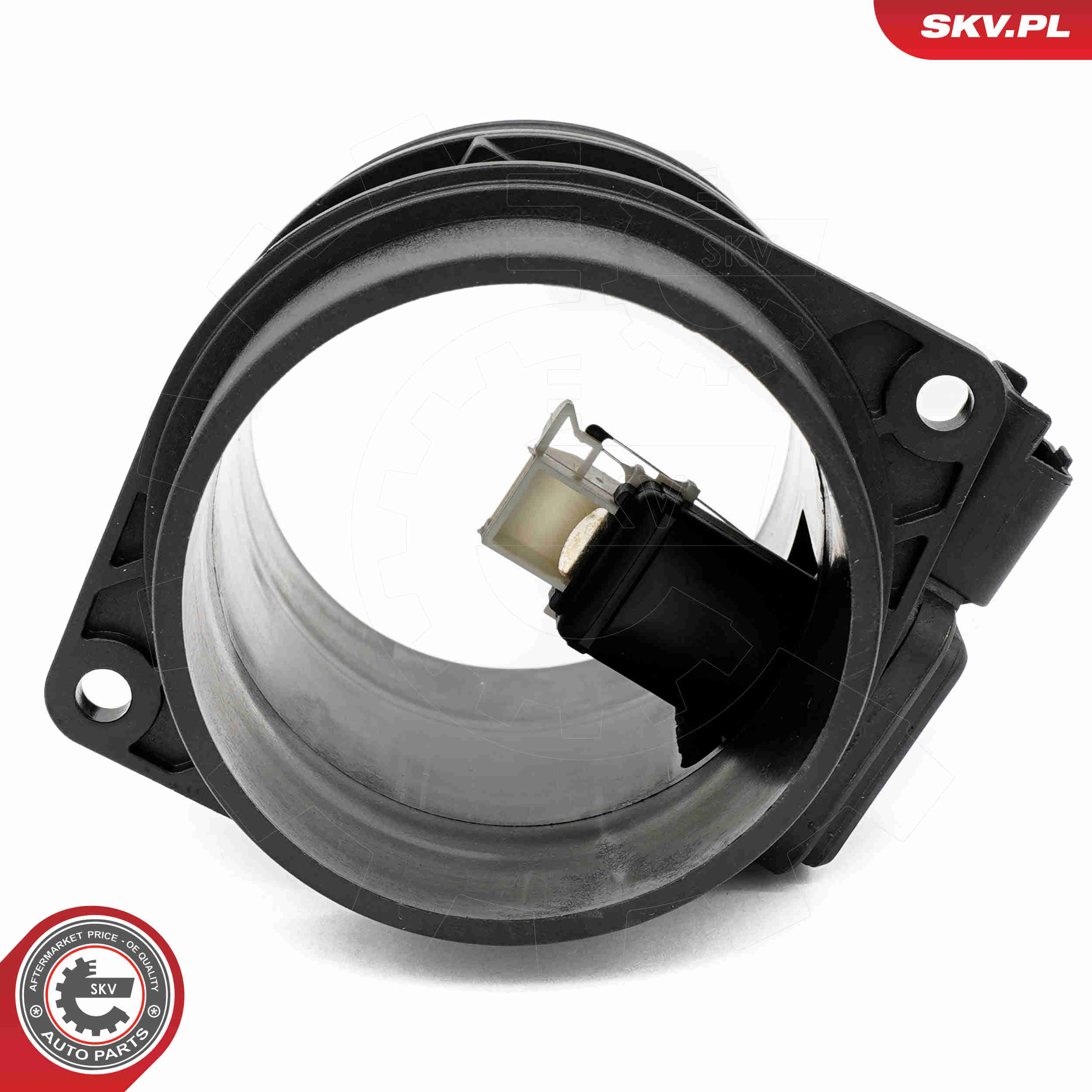 Air Mass Sensor - 07SKV189 ESEN SKV