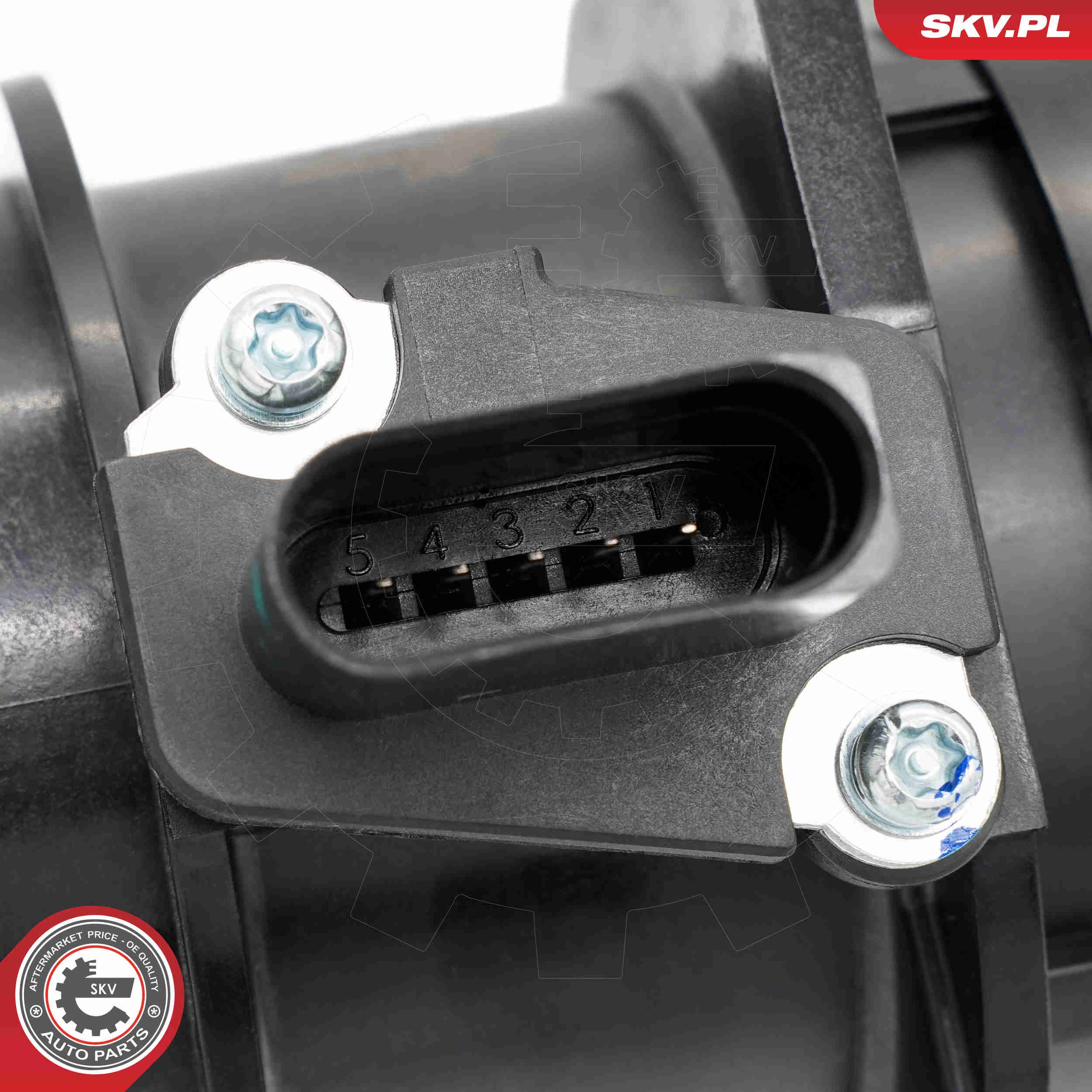 Air Mass Sensor - 07SKV196 ESEN SKV
