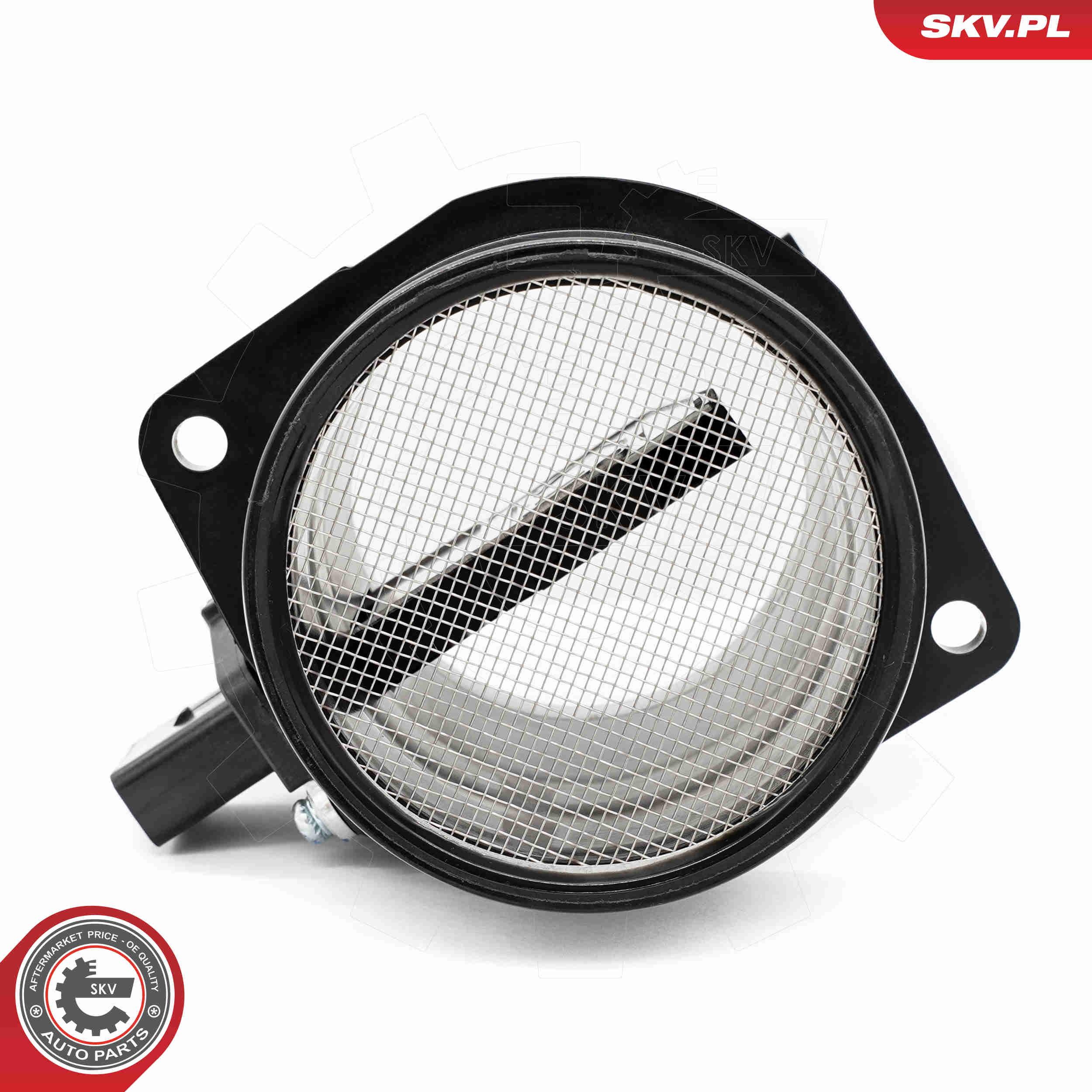 Air Mass Sensor - 07SKV196 ESEN SKV