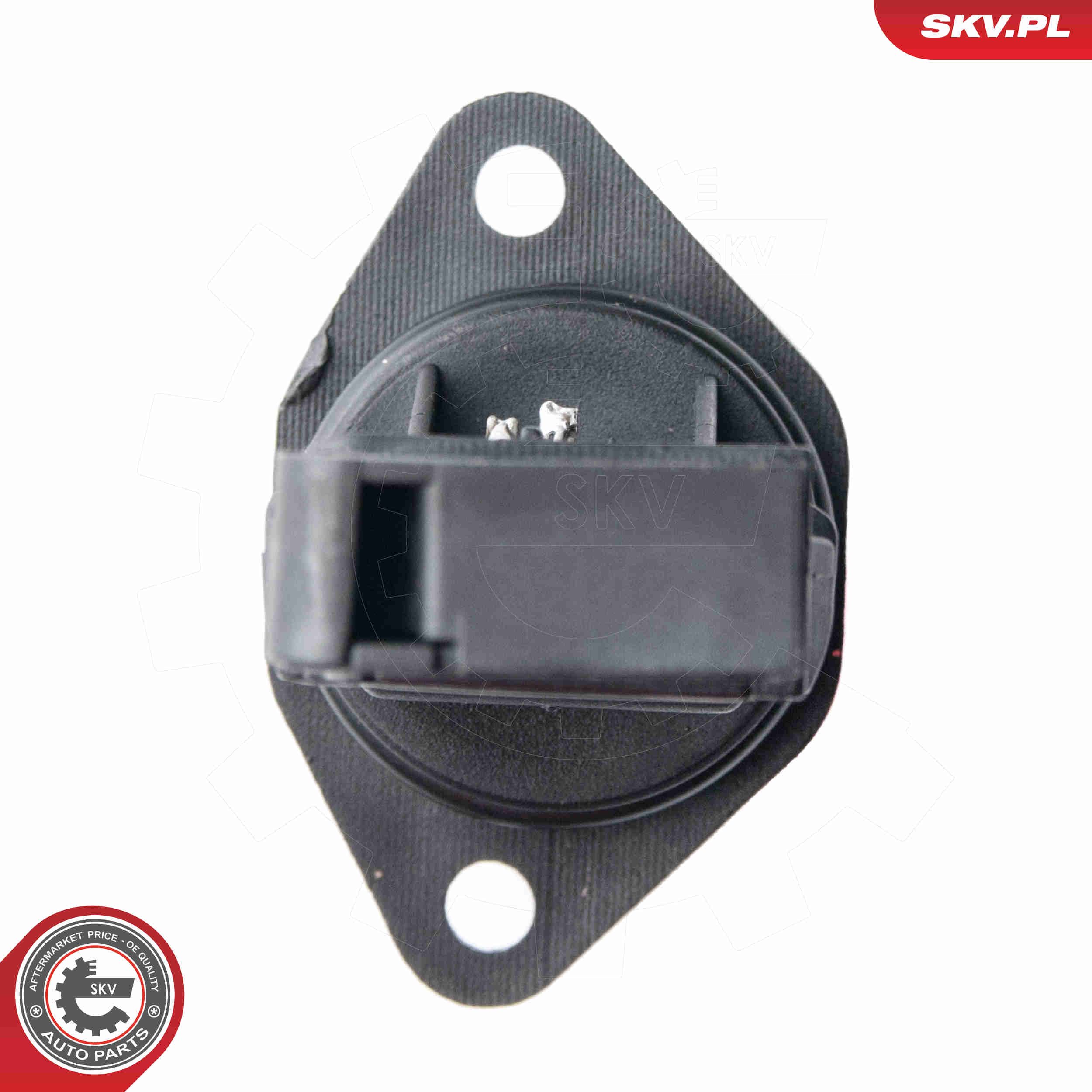 Air Mass Sensor - 07SKV502 ESEN SKV