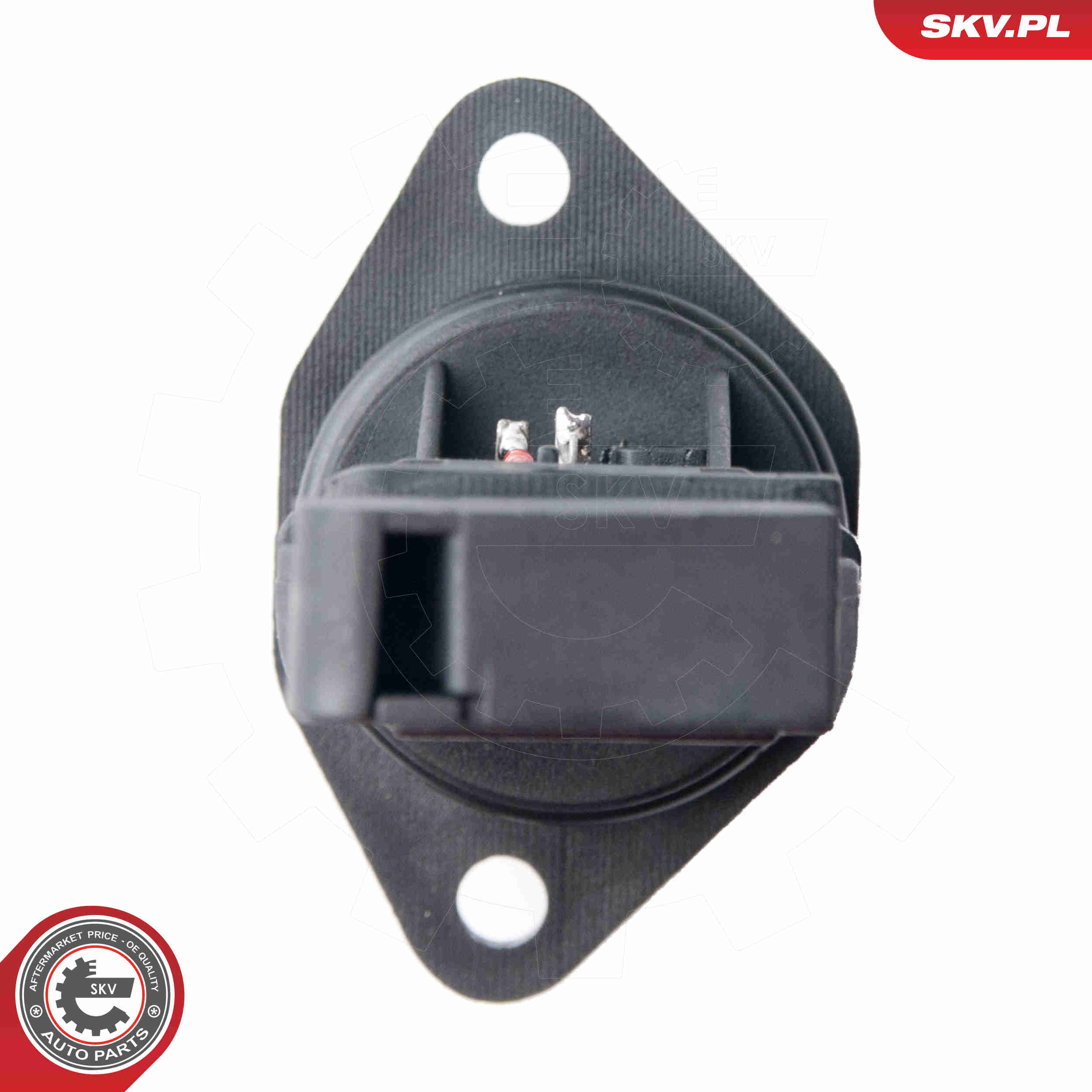 Air Mass Sensor - 07SKV503 ESEN SKV