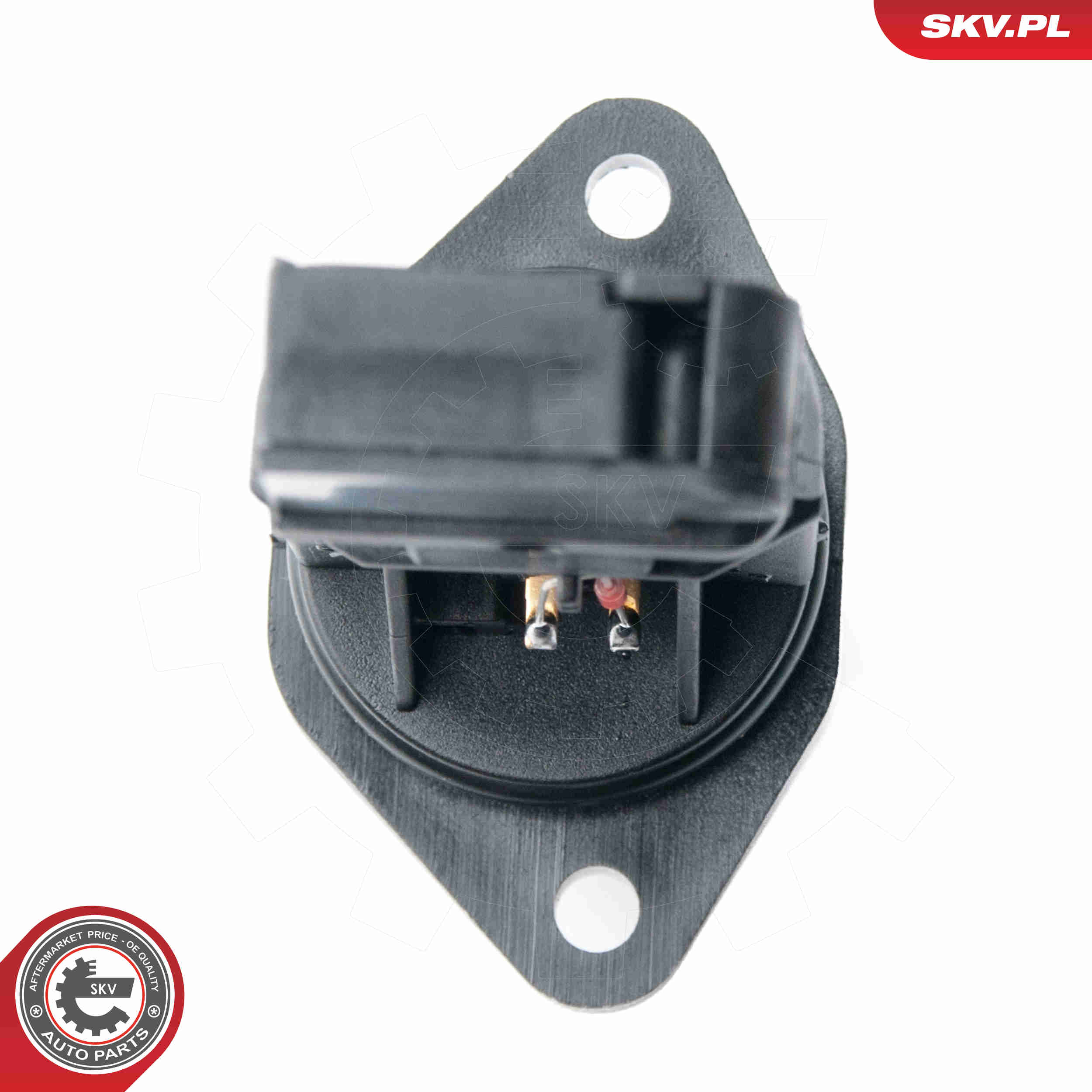 Air Mass Sensor - 07SKV505 ESEN SKV