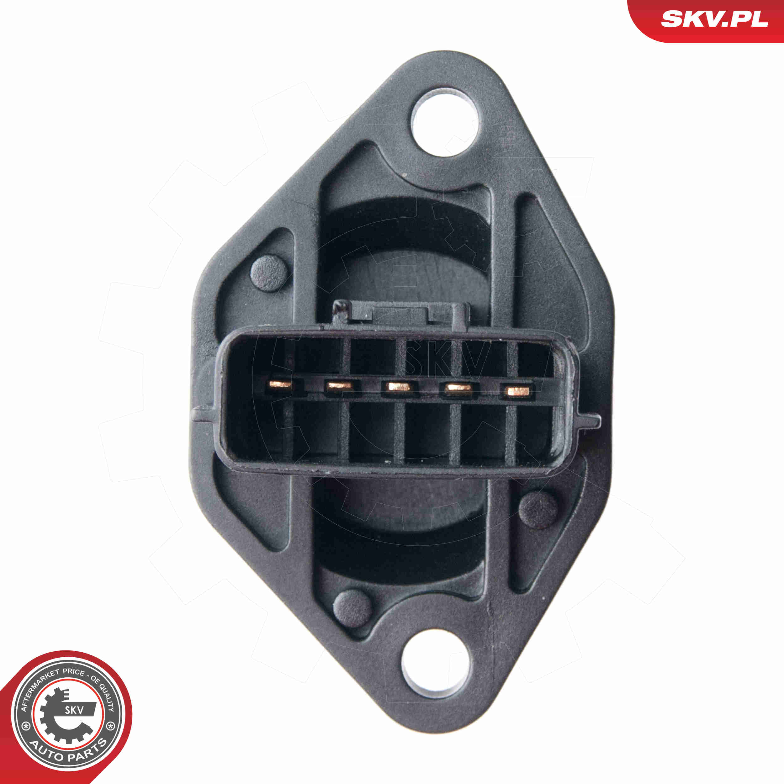 Debimetro - 07SKV509 ESEN SKV