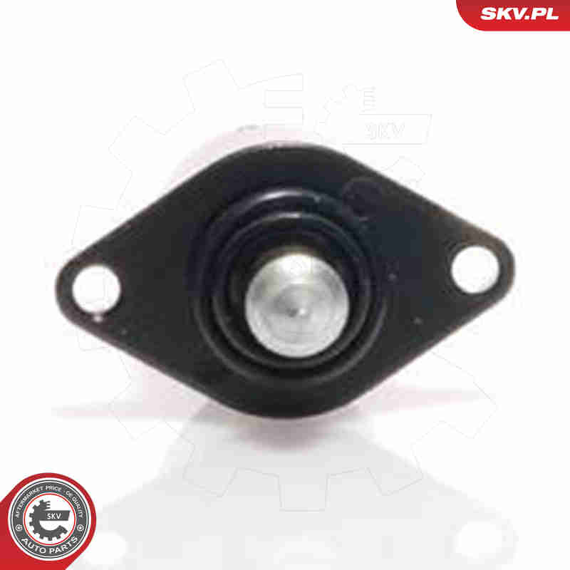 Idle Control Valve, air supply - 08SKV008 ESEN SKV