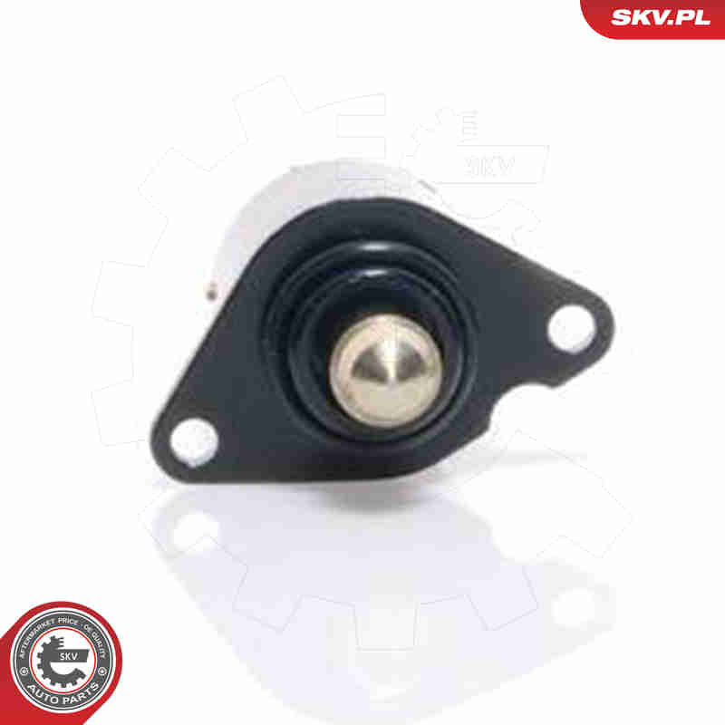 Idle Control Valve, air supply - 08SKV017 ESEN SKV
