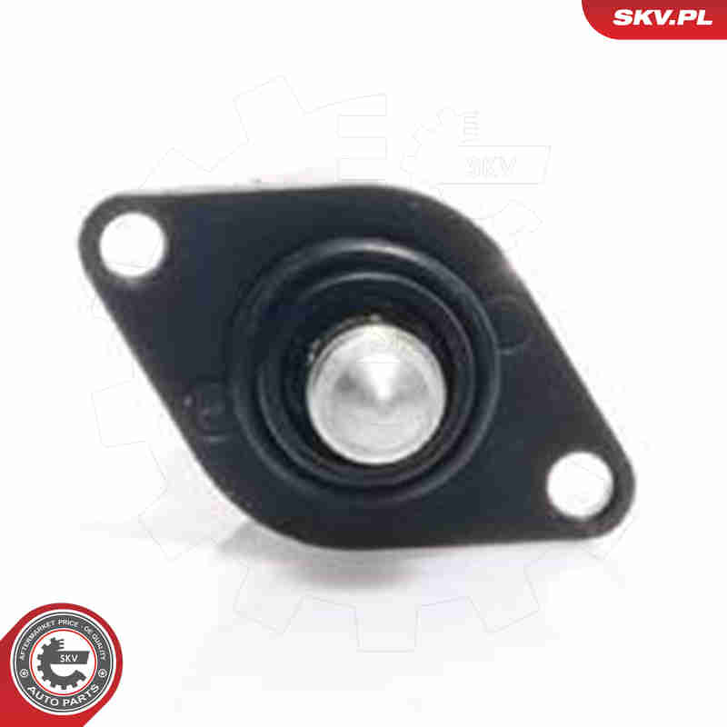 Idle Control Valve, air supply - 08SKV029 ESEN SKV