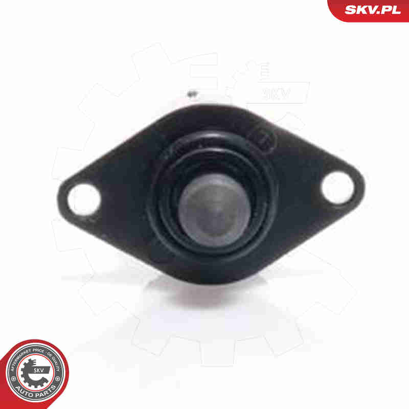 Idle Control Valve, air supply - 08SKV033 ESEN SKV