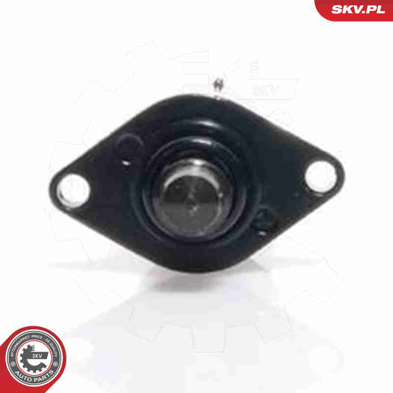 Idle Control Valve, air supply - 08SKV039 ESEN SKV