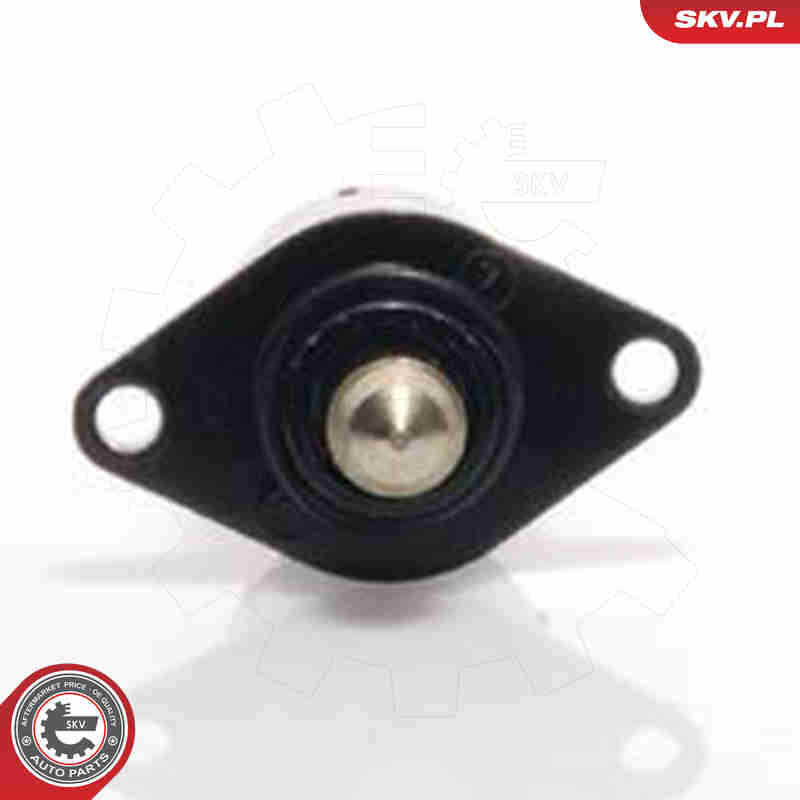 Idle Control Valve, air supply - 08SKV044 ESEN SKV