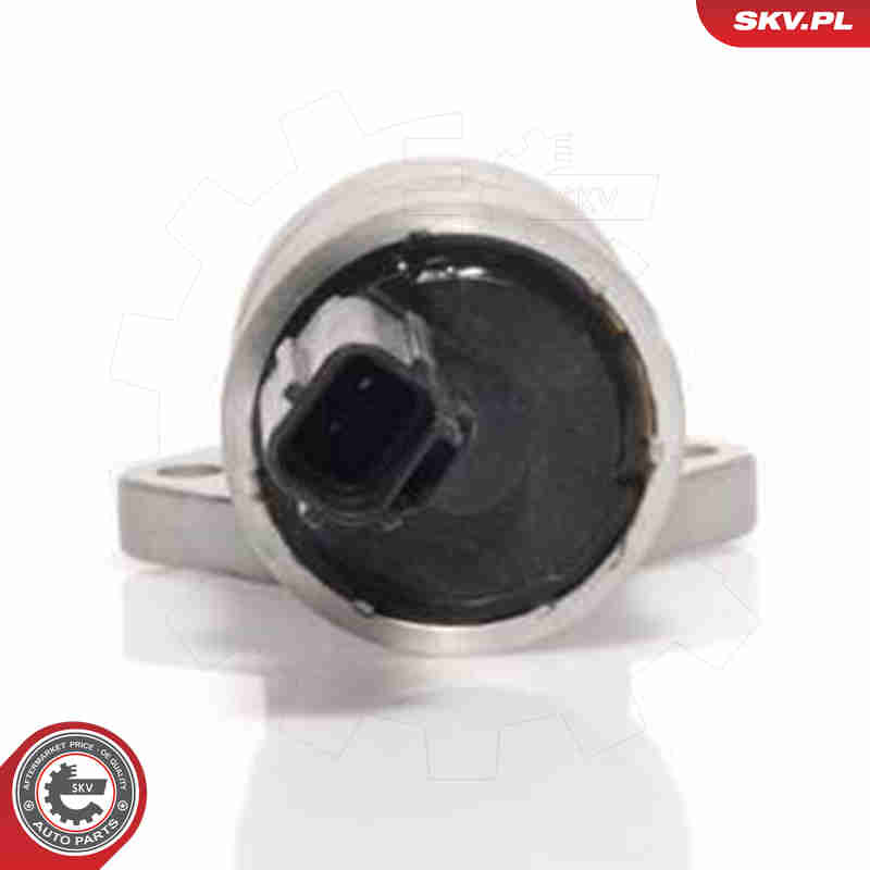 Idle Control Valve, air supply - 08SKV233 ESEN SKV