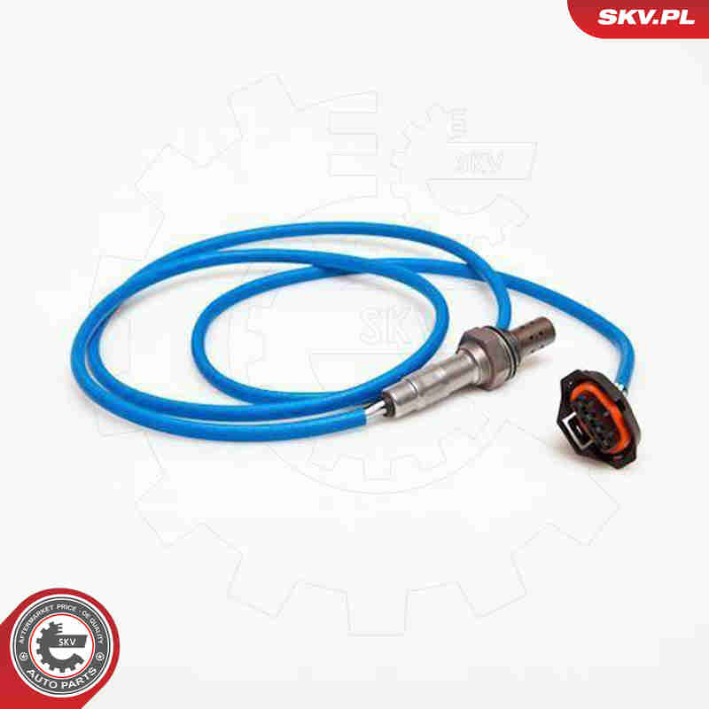 lambda jutiklis - 09SKV004 ESEN SKV
