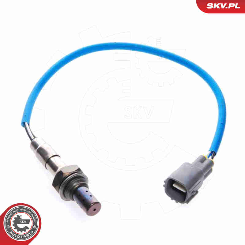 lambda jutiklis - 09SKV011 ESEN SKV