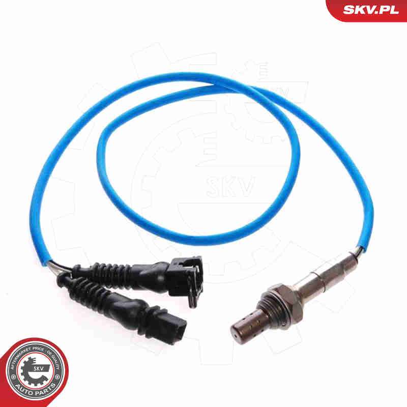 lambda jutiklis - 09SKV022 ESEN SKV