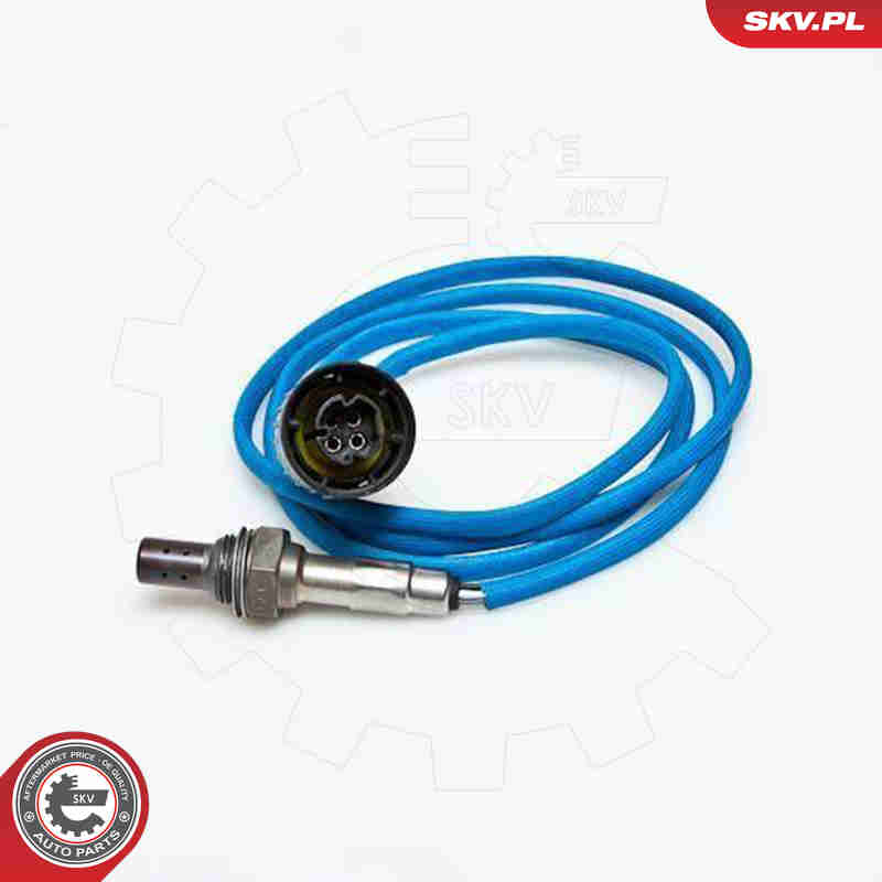 lambda jutiklis - 09SKV049 ESEN SKV