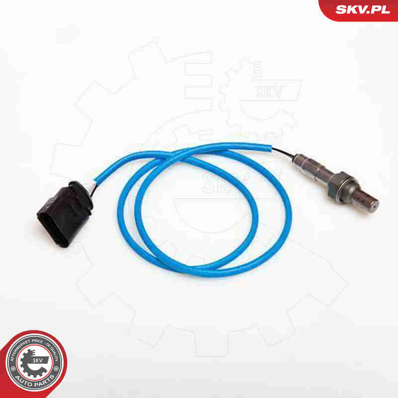 lambda jutiklis - 09SKV061 ESEN SKV